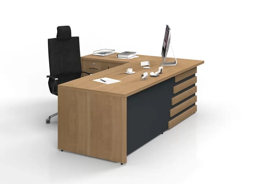 Terra Yönetici Masası