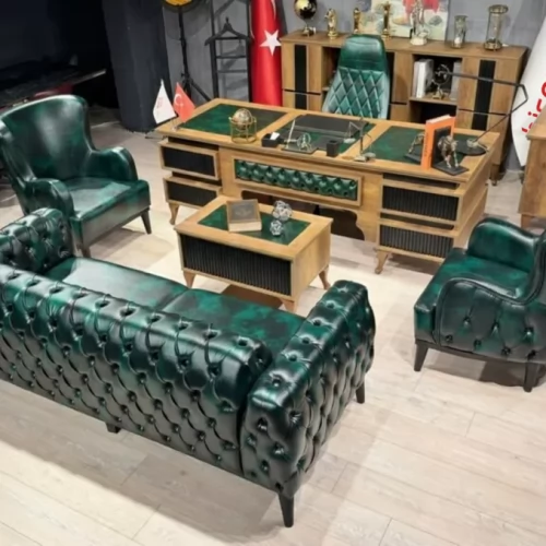 Çizgi Yeşil Makam Takımı